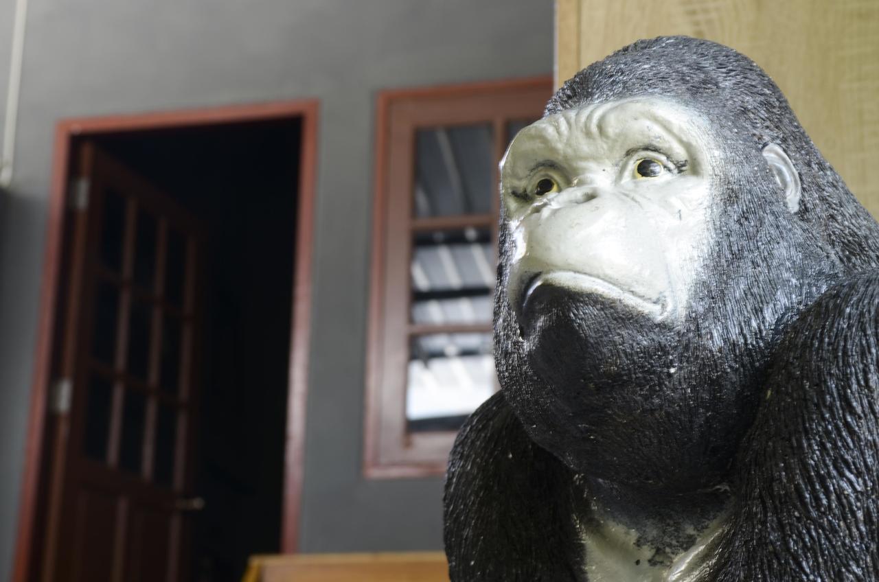 Wualai Hostel Chiang Mai Dış mekan fotoğraf